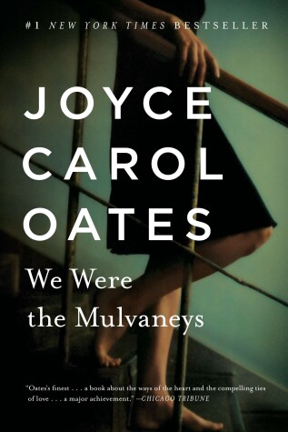 Book cover for We Were the Mulvaneys