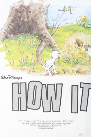 Cover of How It Works in the Country