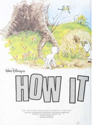 Book cover for How It Works in the Country