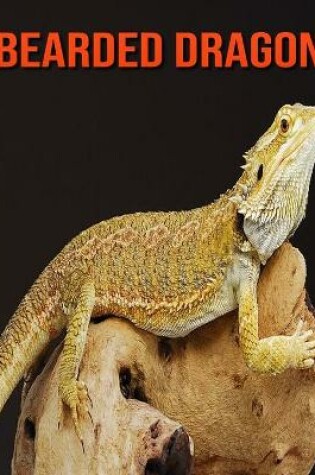 Cover of Bearded Dragon