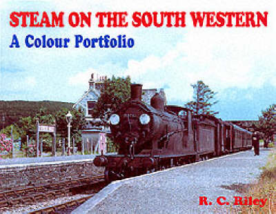 Book cover for Steam on the South Western