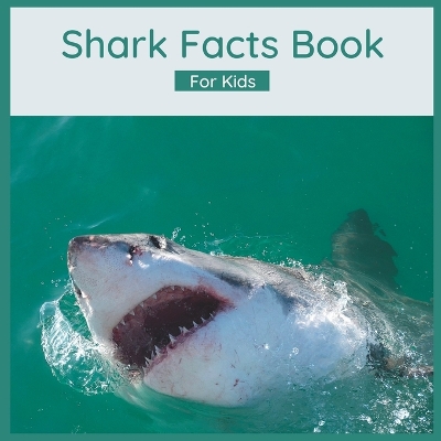 Book cover for Shark Facts Book For Kids