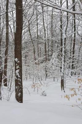 Cover of Journal Winter Weather Snowy Day