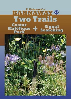 Book cover for Two Trails