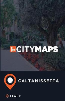 Book cover for City Maps Caltanissetta Italy