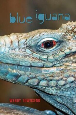 Cover of Blue Iguana