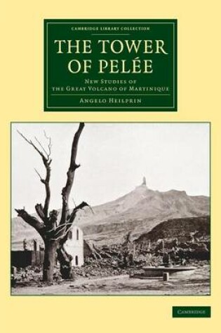 Cover of The Tower of Pelée