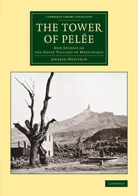 Cover of The Tower of Pelée