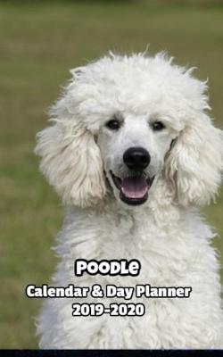 Book cover for Poodle Calendar & Day Planner 2019-2020