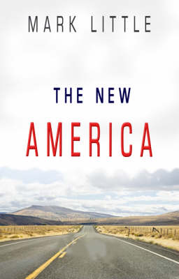 Book cover for The New America