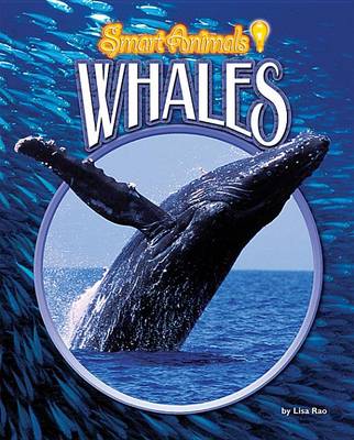 Cover of Whales