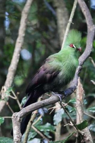 Cover of Guinea Turaco Journal
