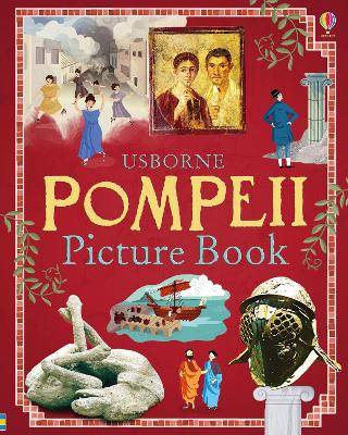 Book cover for Pompeii Picture Book