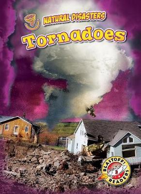 Book cover for Tornadoes