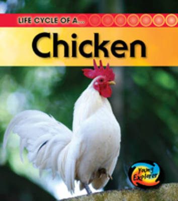 Cover of Life Cycles Pack B of 5