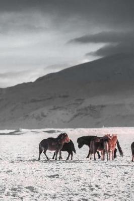 Book cover for Wild Horses in the Snow