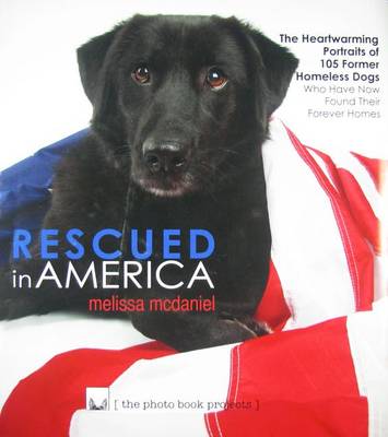 Book cover for Rescued in America