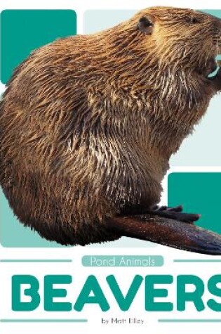 Cover of Pond Animals: Beavers