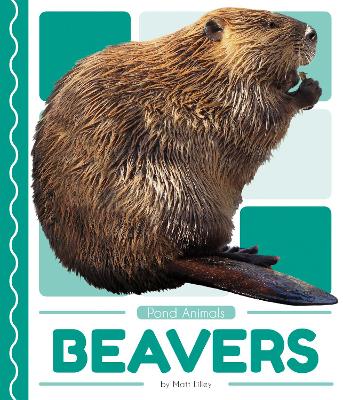 Book cover for Pond Animals: Beavers