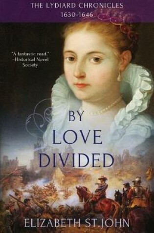 Cover of Ny Love Divided