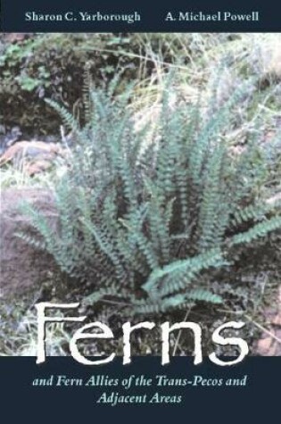 Cover of Ferns and Fern Allies of the Trans-Pecos and Adjacent Areas