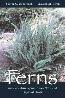 Book cover for Ferns and Fern Allies of the Trans-Pecos and Adjacent Areas