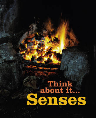 Book cover for Senses