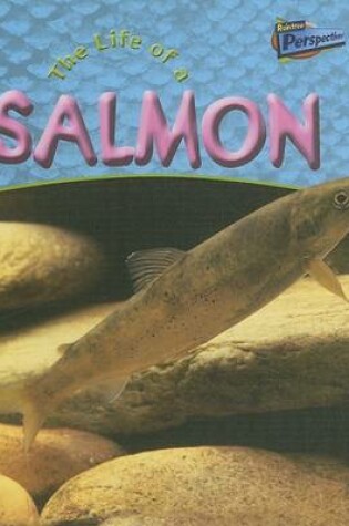 Cover of Life of a Salmon