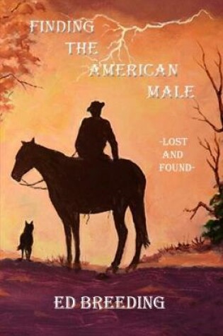 Cover of Finding the American Male