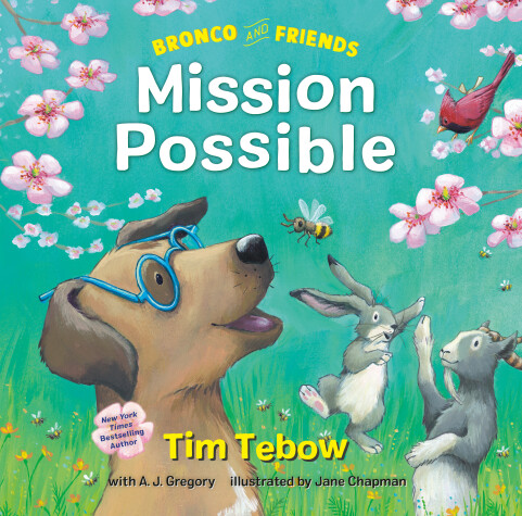 Book cover for Bronco and Friends: Mission Possible