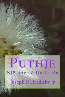 Book cover for Puthje