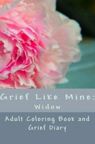 Cover of Grief Like Mine