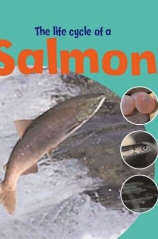 Cover of Learning About Life Cycles: The Life Of A Salmon