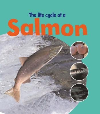 Book cover for Learning About Life Cycles: The Life Of A Salmon