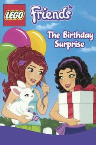 Cover of Birthday Surprise