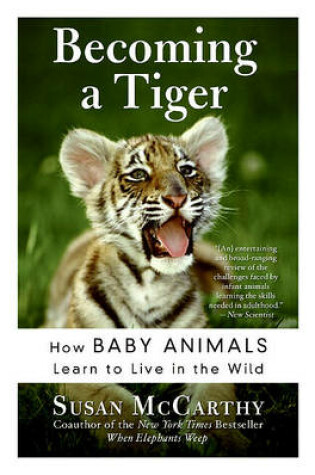 Cover of Becoming a Tiger