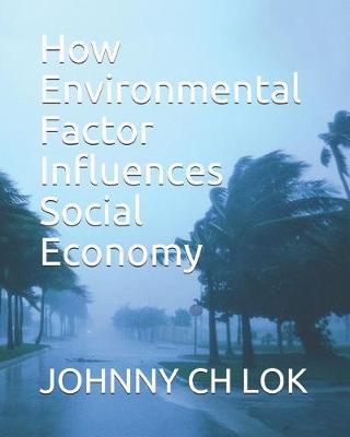 Book cover for How Environmental Factor Influences Social Economy