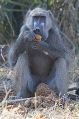 Cover of Chacma Baboon Eating Marula Fruit in Botswana Journal