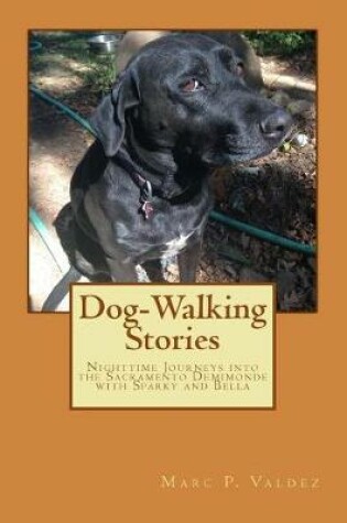 Cover of Dog-Walking Stories