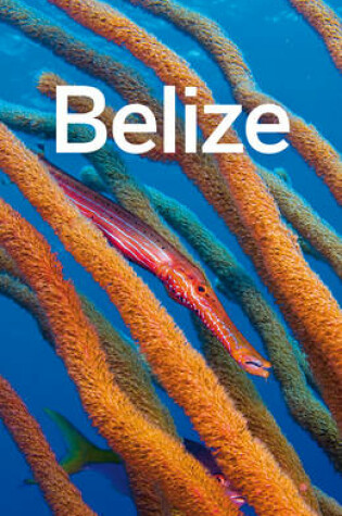 Cover of Lonely Planet Belize
