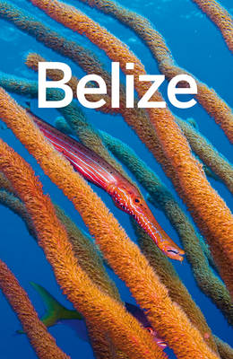 Book cover for Lonely Planet Belize