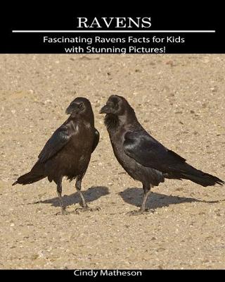 Book cover for Ravens