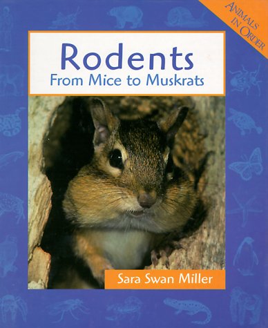 Book cover for Rodents