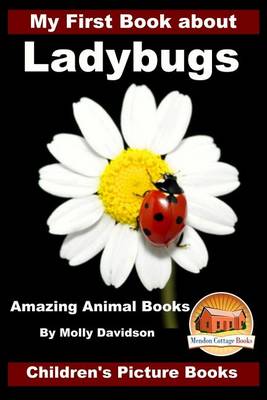 Book cover for My First Book about Ladybugs - Amazing Animal Books - Children's Picture Books