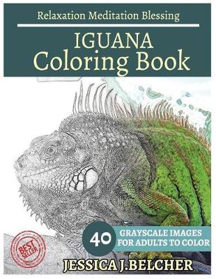 Book cover for Iguana Coloring Book for Adults Relaxation Meditation Blessing