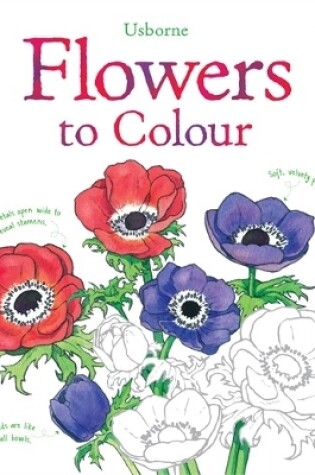 Cover of Flowers to Colour