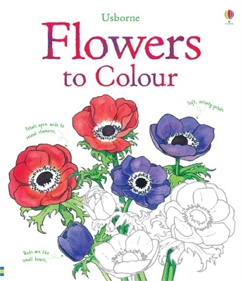 Book cover for Flowers to Colour