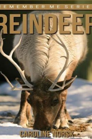 Cover of Reindeer