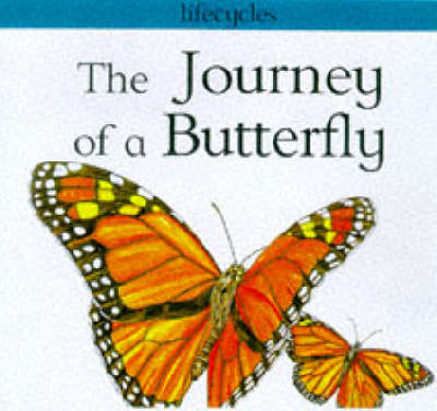 Book cover for The Journey of a Butterfly