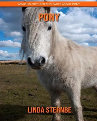 Book cover for Pony